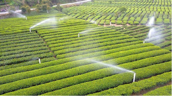 1705375313616.jpg 1705375313616.jpg